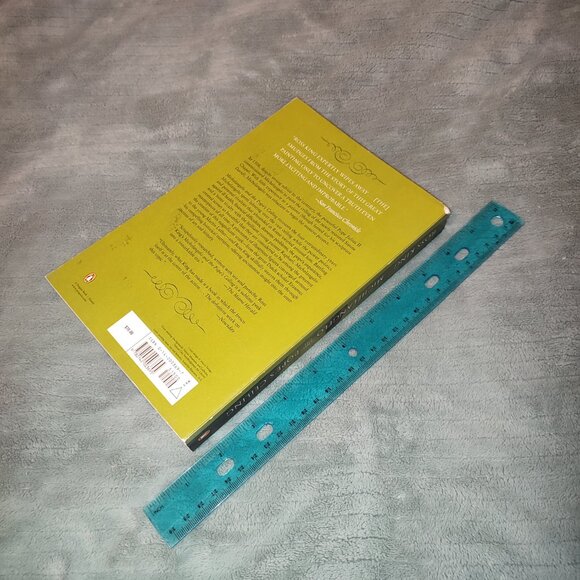 Book Michelangelo and the Pope's Ceiling Ross King New York Times Bestseller - Picture 2 of 16